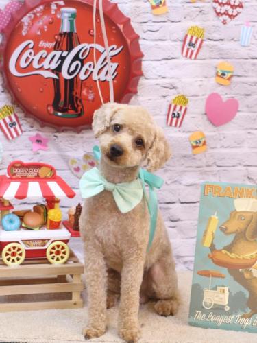 20230926マロンくん